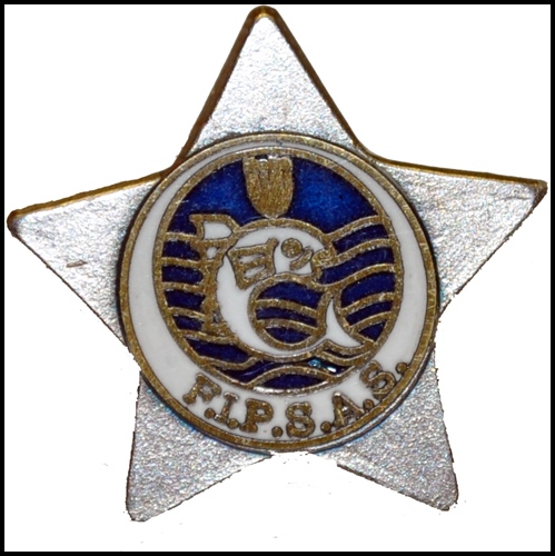 SECURITY OFFICER SILVER 7-POINT STAR BADGE